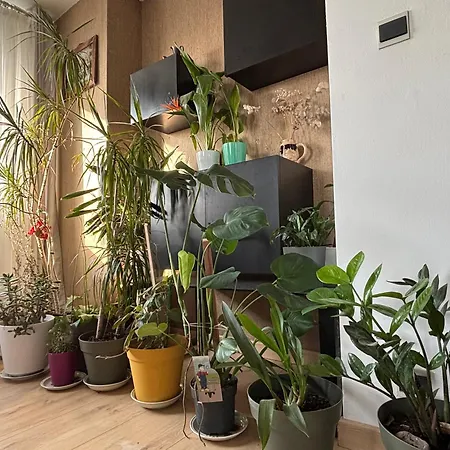 Bel Bourgeois 170 M2 Proche Gare Et Place Stanislas, Apartman *