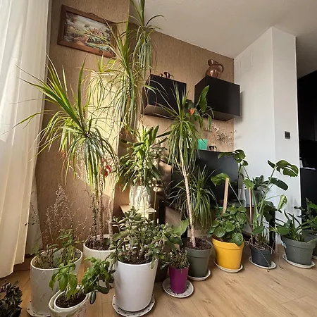 Bel Bourgeois 170 M2 Proche Gare Et Place Stanislas,