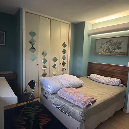 Bel Bourgeois 170 M2 Proche Gare Et Place Stanislas, Appartamento Nancy