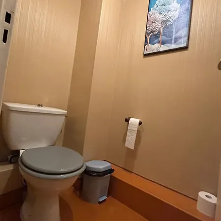 Bel Bourgeois 170 M2 Proche Gare Et Place Stanislas, Nancy