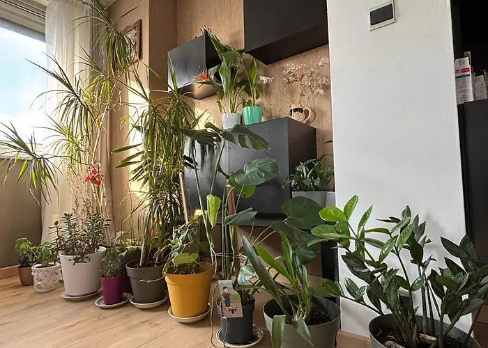 Bel Bourgeois 170 M2 Proche Gare Et Place Stanislas, 公寓 *