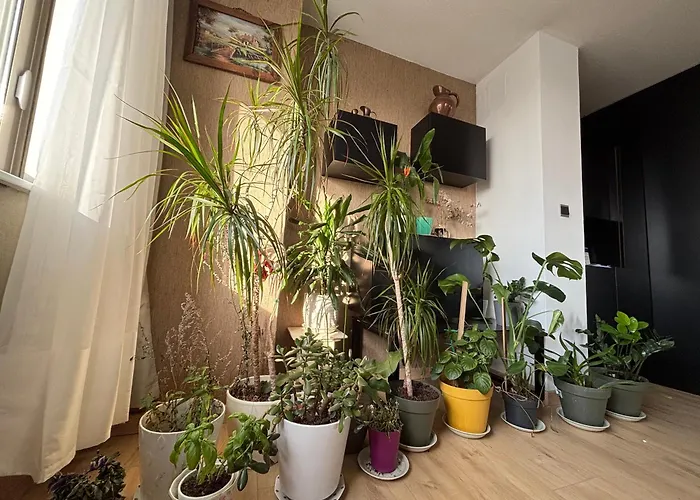 Bel Bourgeois 170 M2 Proche Gare Et Place Stanislas,