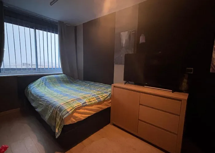 公寓 Bel Bourgeois 170 M2 Proche Gare Et Place Stanislas, 南锡