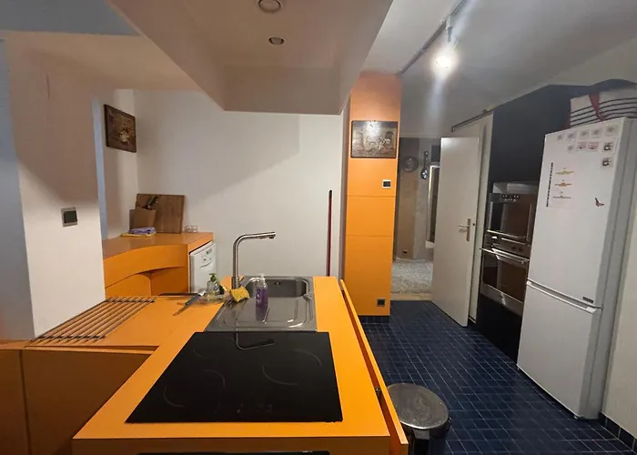 Bel Bourgeois 170 M2 Proche Gare Et Place Stanislas, 南锡