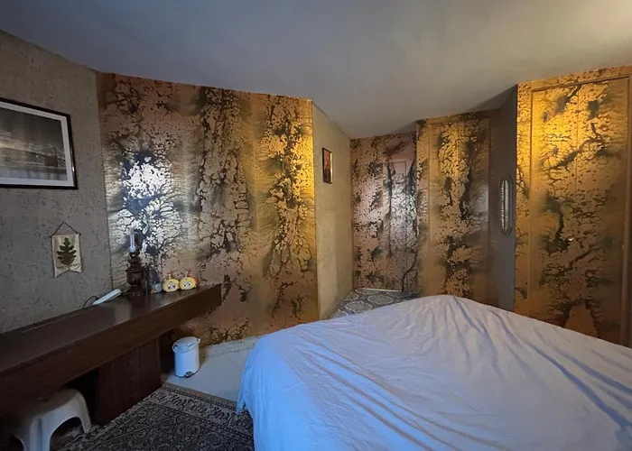 Bel Bourgeois 170 M2 Proche Gare Et Place Stanislas, 南锡