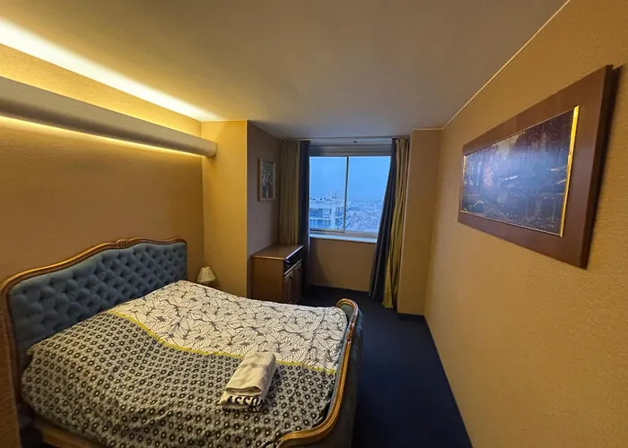 公寓 Bel Bourgeois 170 M2 Proche Gare Et Place Stanislas, 南锡