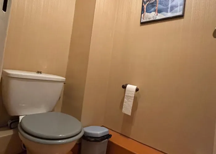 Bel Bourgeois 170 M2 Proche Gare Et Place Stanislas, 南锡